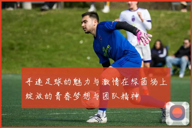 手逢足球的魅力与激情在绿茵场上绽放的青春梦想与团队精神